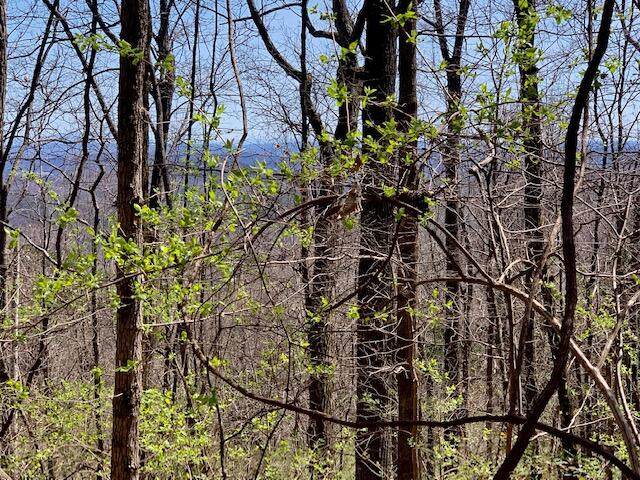 https://bt-photos.global.ssl.fastly.net/chattanooga/orig_boomver_1_1352309-2.jpg