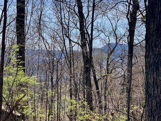 https://bt-photos.global.ssl.fastly.net/chattanooga/orig_boomver_1_1352309-2.jpg