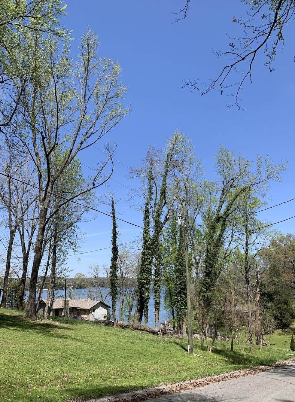 https://bt-photos.global.ssl.fastly.net/chattanooga/orig_boomver_1_1353112-2.jpg