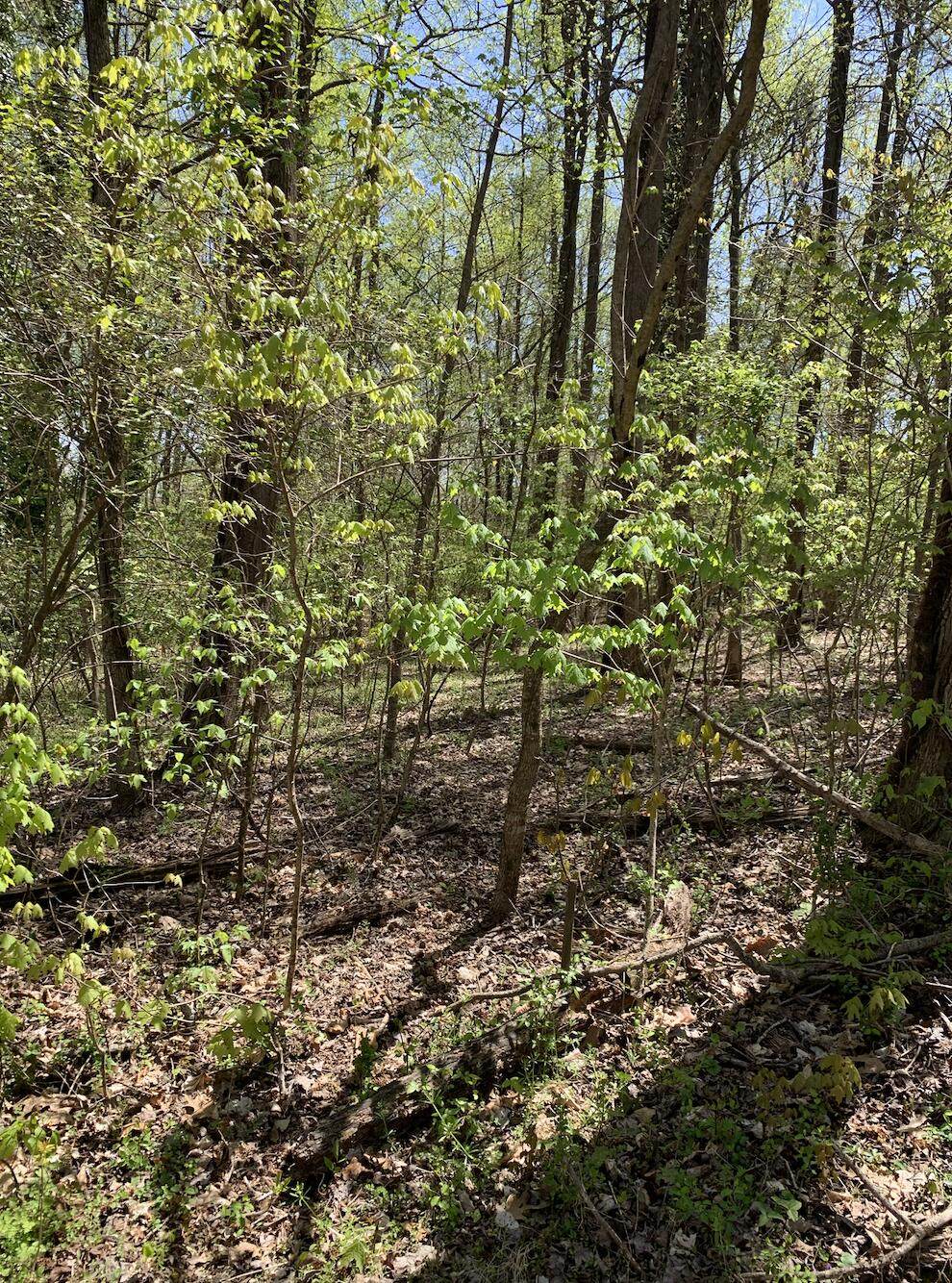 https://bt-photos.global.ssl.fastly.net/chattanooga/orig_boomver_1_1353112-2.jpg
