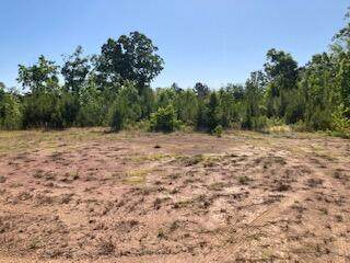0 Waterford Ln - Photo 1