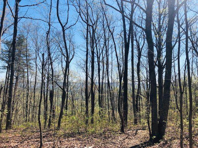 0 Vineyard Point Rd - Photo 1