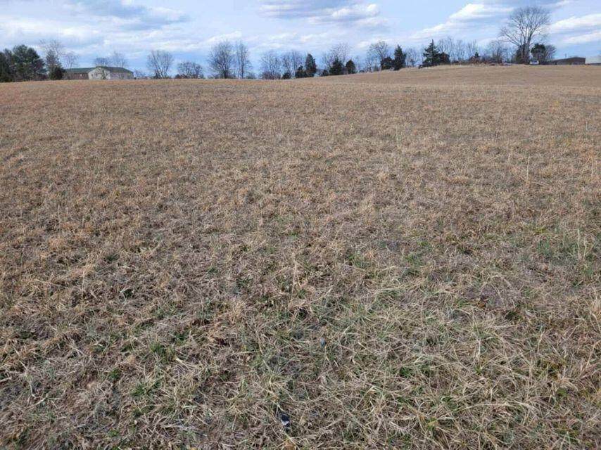 0 Magnolia Ln - Photo 1