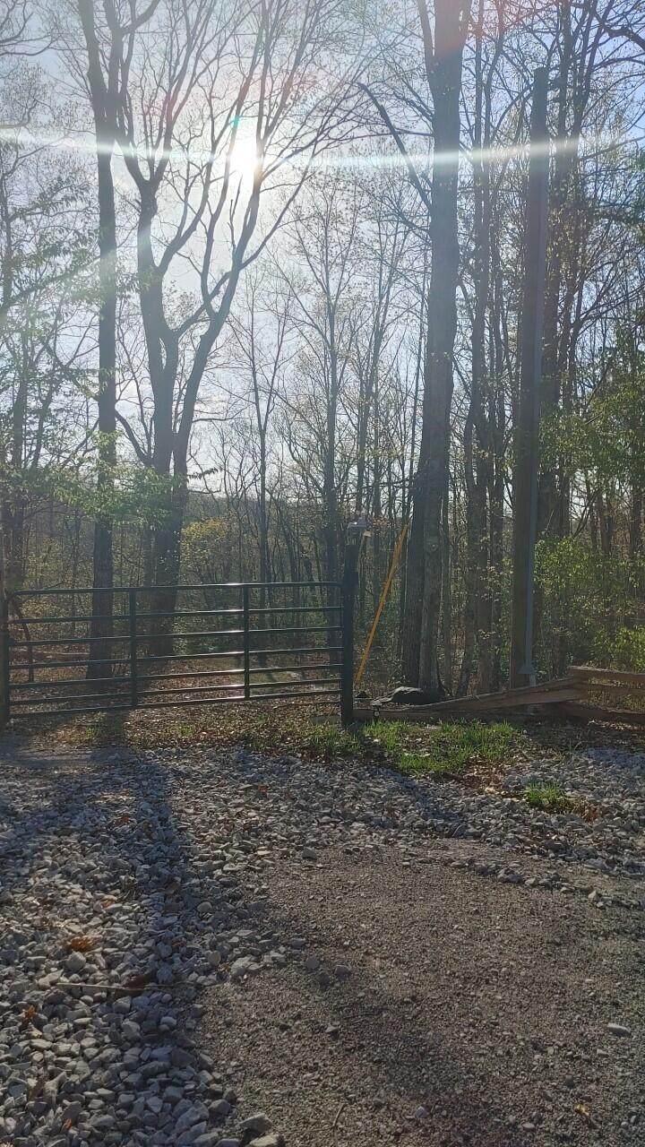 https://bt-photos.global.ssl.fastly.net/chattanooga/1280_boomver_1_1355740-2.jpg