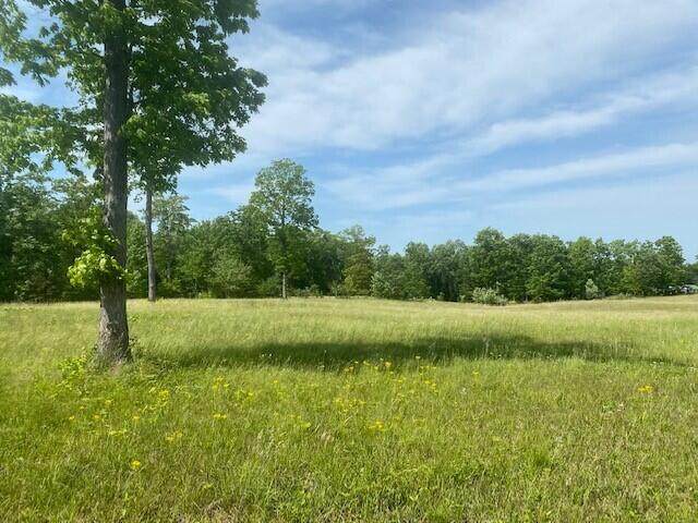 1108 Highway 108 - Photo 1