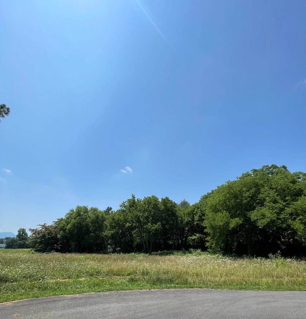 0 Brookfields Ln - Photo 1