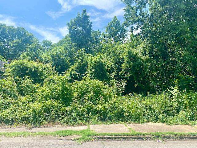 3601 Alton Park Blvd - Photo 1