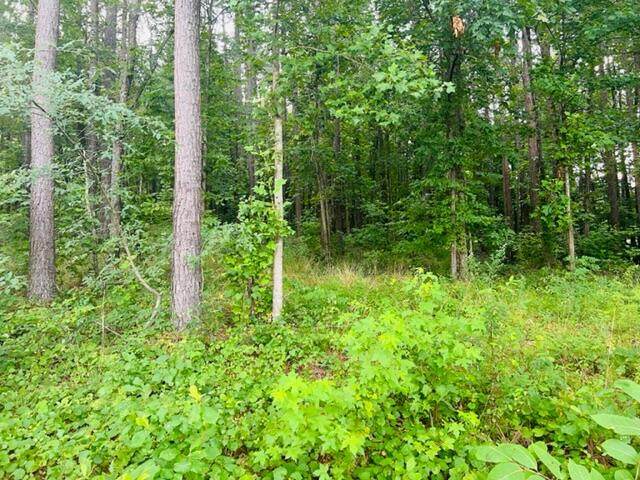 Lot 6 Crow Rd - Photo 1