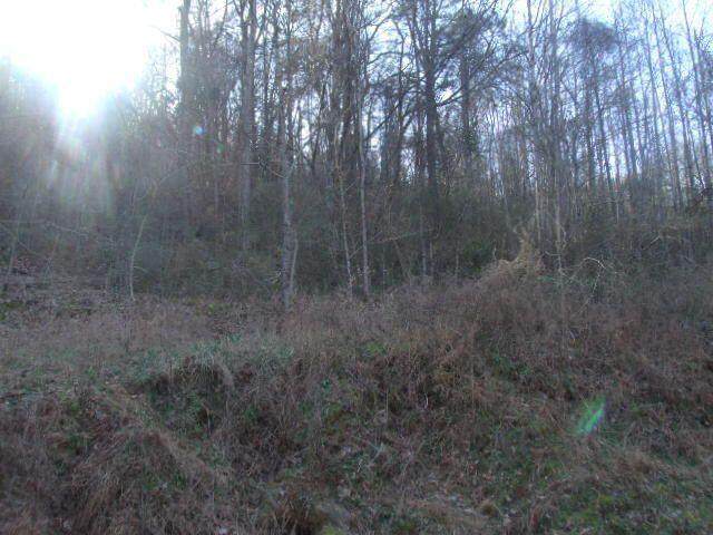 1185 Sweetens Cove Rd - Photo 1