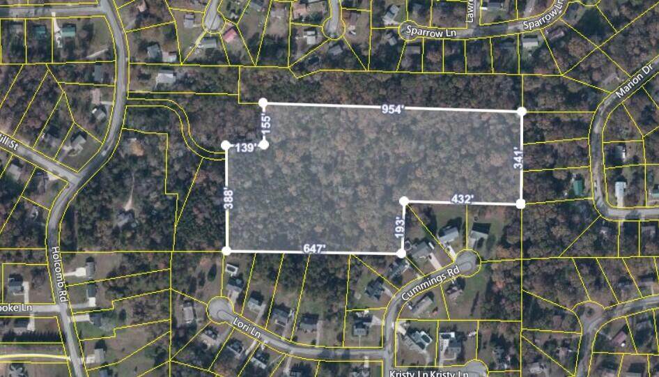0 Holcomb Rd - Photo 1