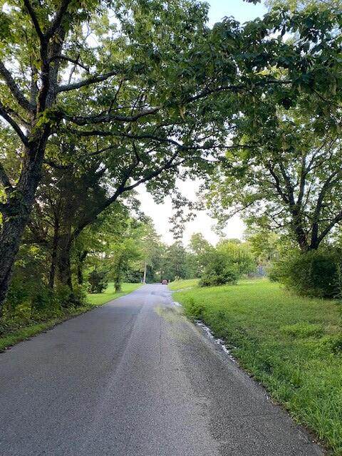 5.45 Patton School Road - Photo 1
