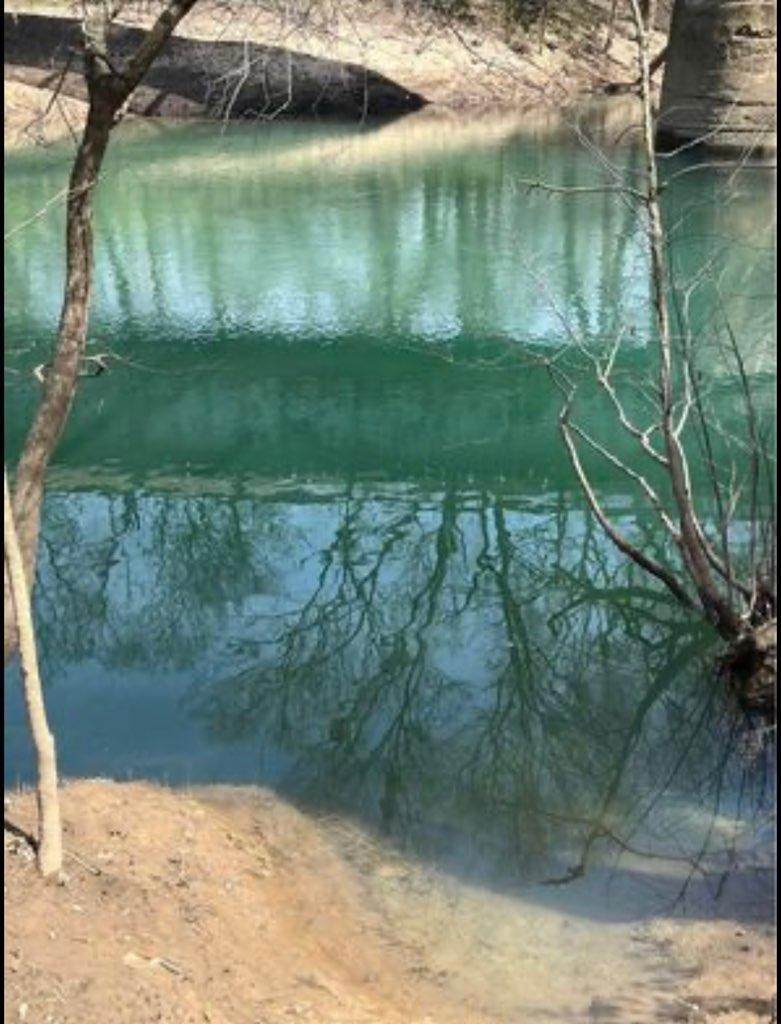 0 Boy Scout Rd - Photo 1