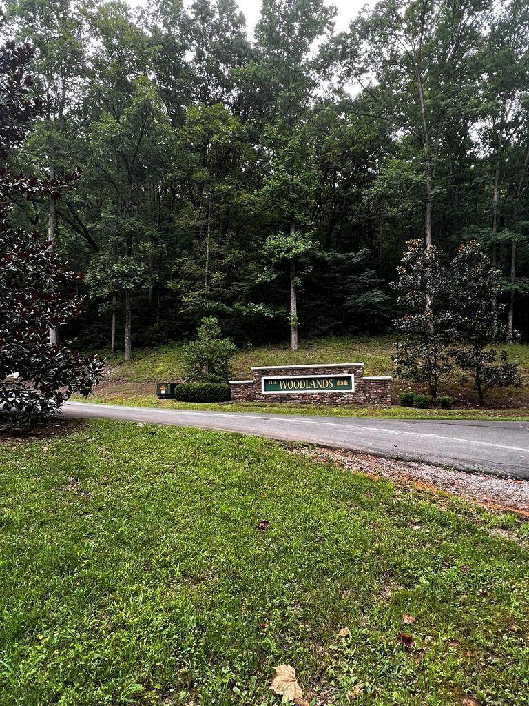 https://bt-photos.global.ssl.fastly.net/chattanooga/orig_boomver_1_1361976-2.jpg