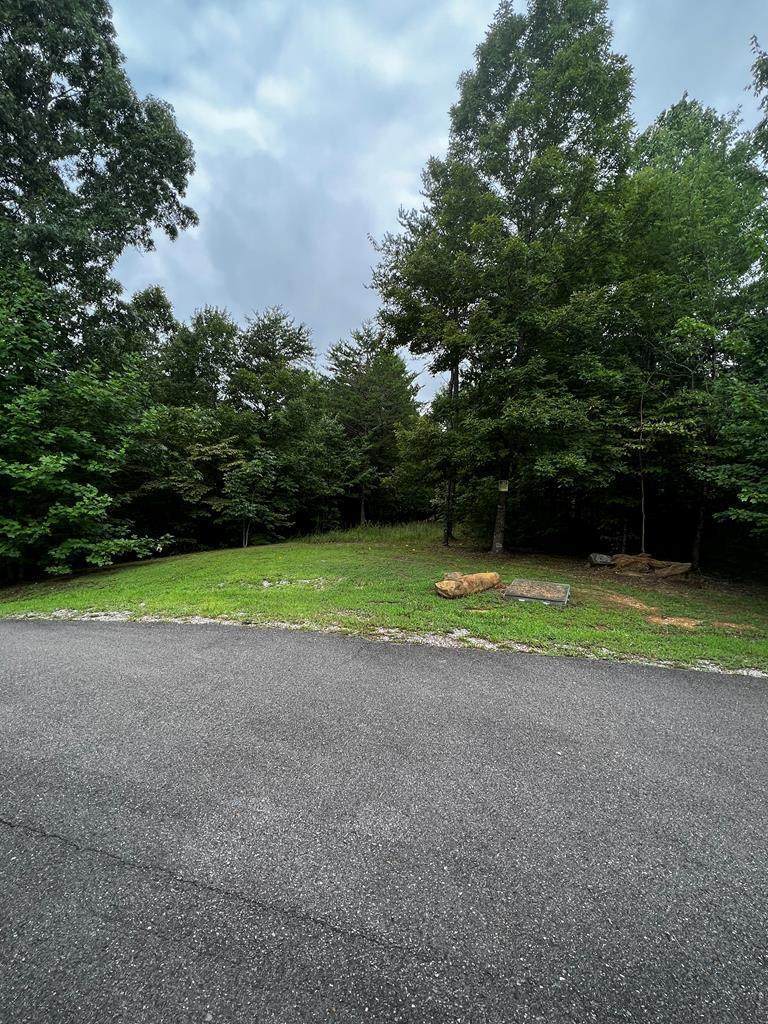 https://bt-photos.global.ssl.fastly.net/chattanooga/orig_boomver_1_1361976-2.jpg