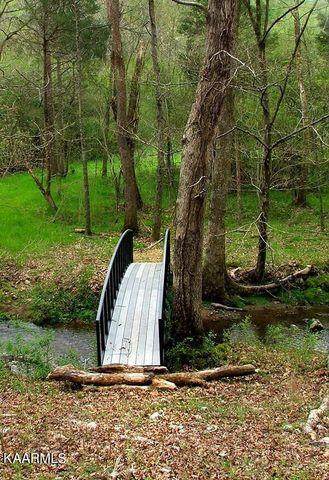 Lot 39 Bear Creek Rd - Photo 1