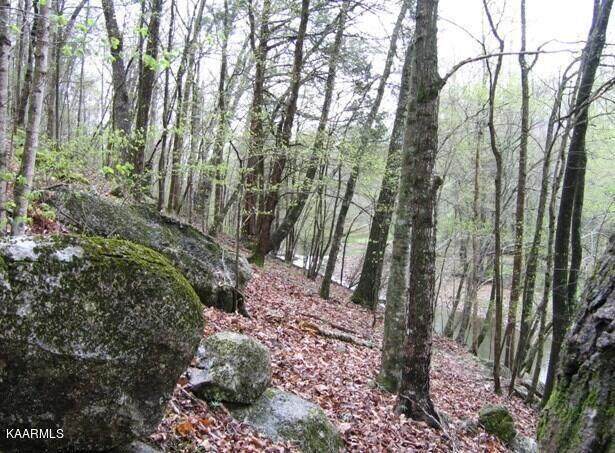 https://bt-photos.global.ssl.fastly.net/chattanooga/orig_boomver_1_1362143-2.jpg