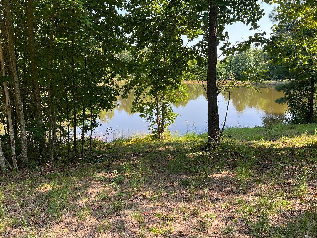 100 Hobbstown Rd - Photo 1