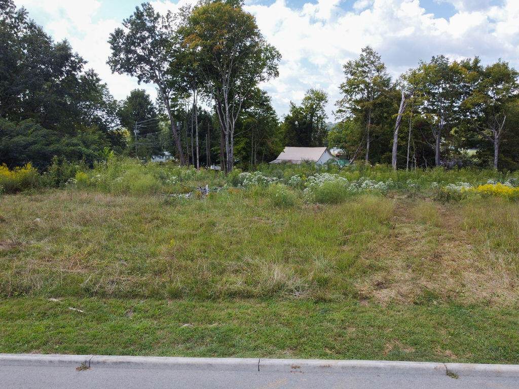 00 Shadows Lawn Drive - Photo 1