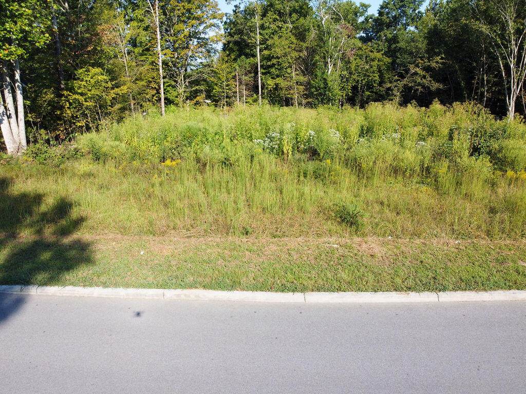 00 Shadows Lawn Drive - Photo 1