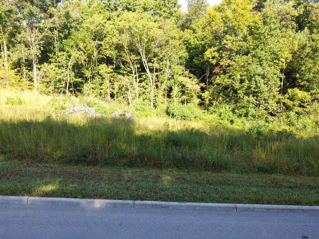 00 Shadows Lawn Drive - Photo 1