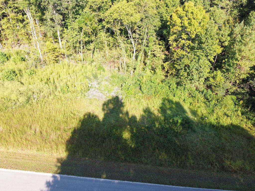 https://bt-photos.global.ssl.fastly.net/chattanooga/orig_boomver_1_1362775-2.jpg