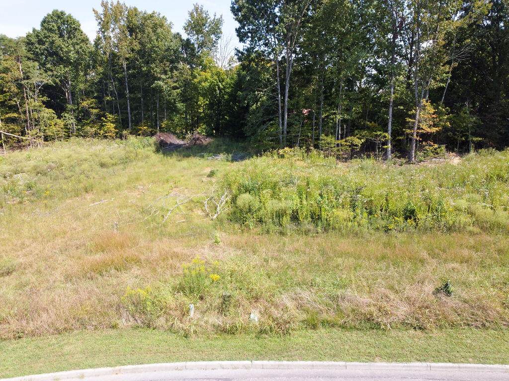 00 Shadows Lawn Drive - Photo 1
