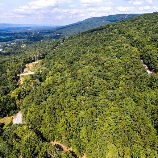 11 Highway 27 - Photo 1