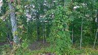 00 Peach Orchard Hill Rd - Photo 1