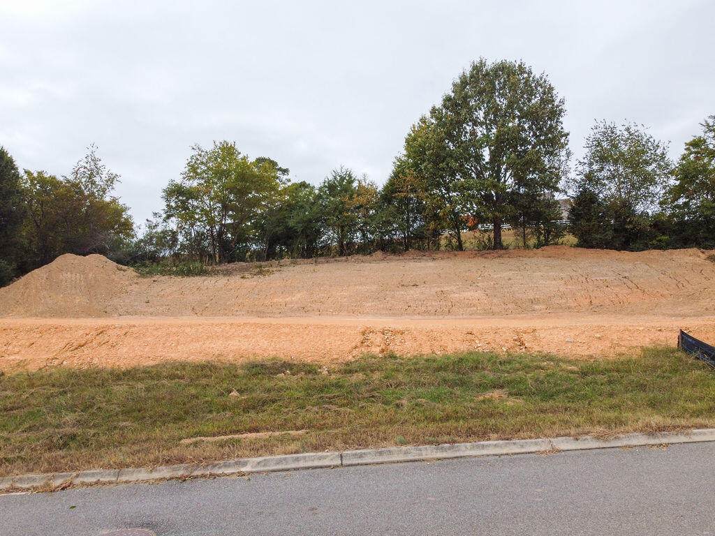 00 Duseth Drive - Photo 1