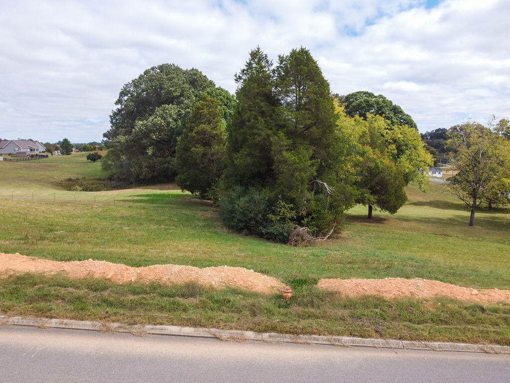 00 Duseth Drive - Photo 1