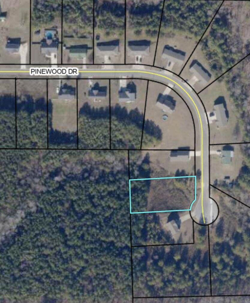 0 Pinewood Dr - Photo 1
