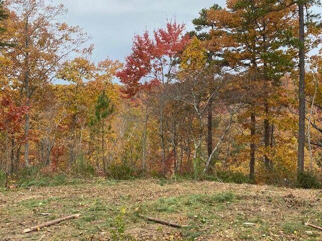 168 South Pittsburg Mtn Road - Photo 1