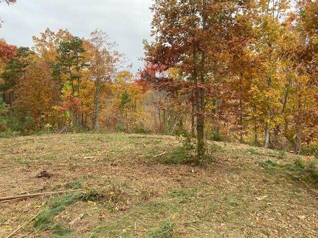 https://bt-photos.global.ssl.fastly.net/chattanooga/orig_boomver_1_1364498-2.jpg
