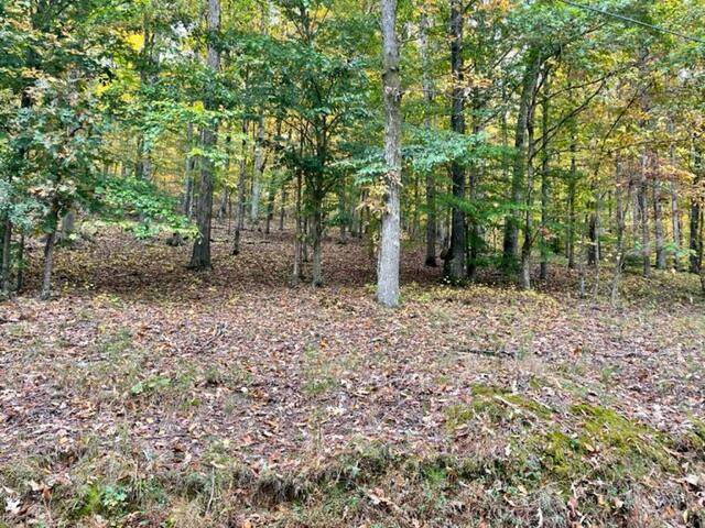 0 Dogwood Ln - Photo 1