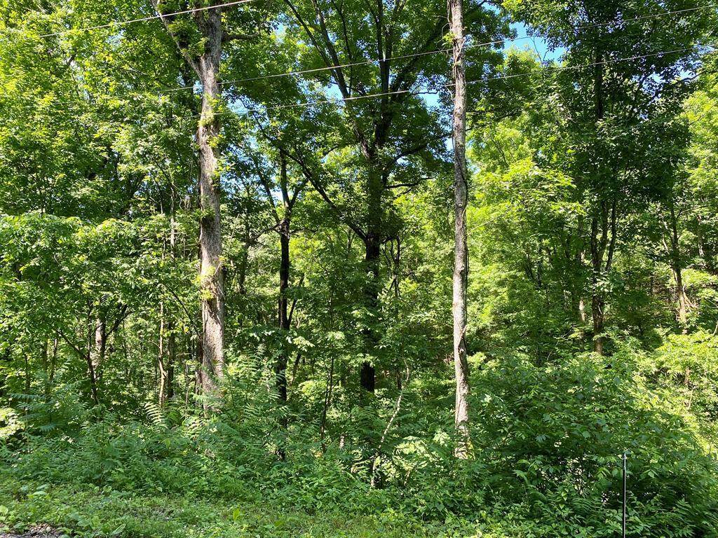 19b Cedar Ridge Rd - Photo 1