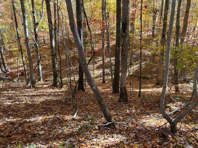 6.40 South Pittsburg Mtn Road - Photo 1