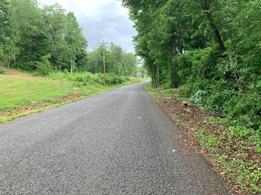 2.1 Acres Hudlow Loop Rd - Photo 1