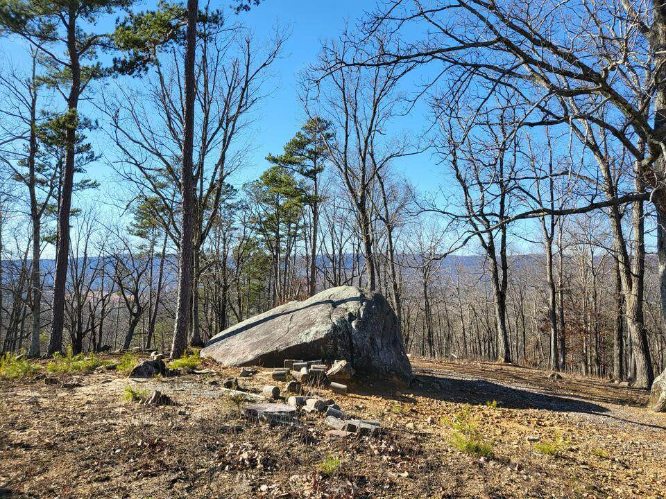 1395 Highway 27 - Photo 1