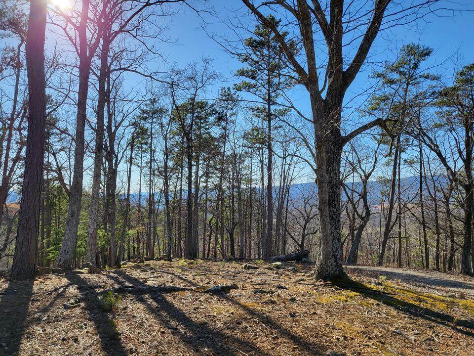 https://bt-photos.global.ssl.fastly.net/chattanooga/orig_boomver_1_1367887-2.jpg