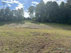 Lot 17-N E Haven Ridge Drive - Photo 1