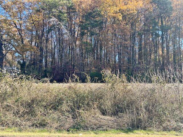 0 Elmwood Drive - Photo 1