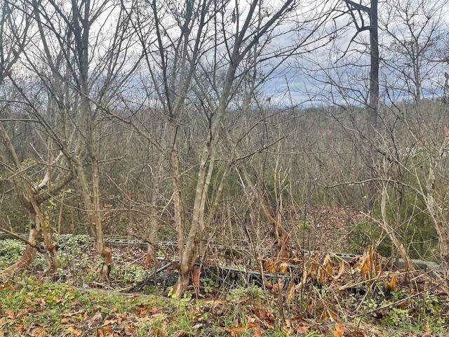 3 Fisher Road - Photo 1