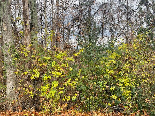 0 Mission Ridge Drive - Photo 1