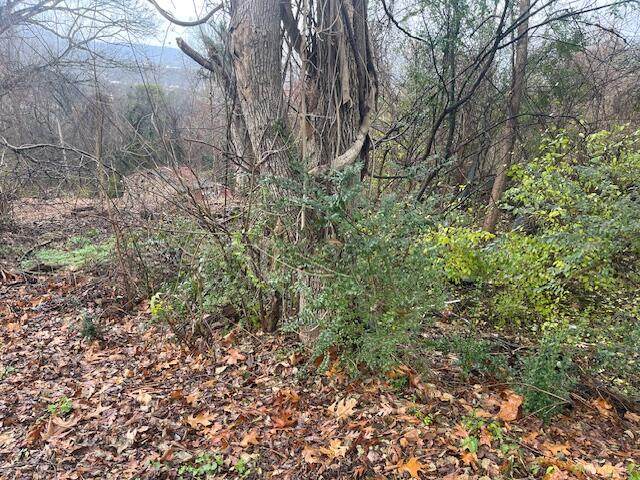 405 Miami Avenue - Photo 1