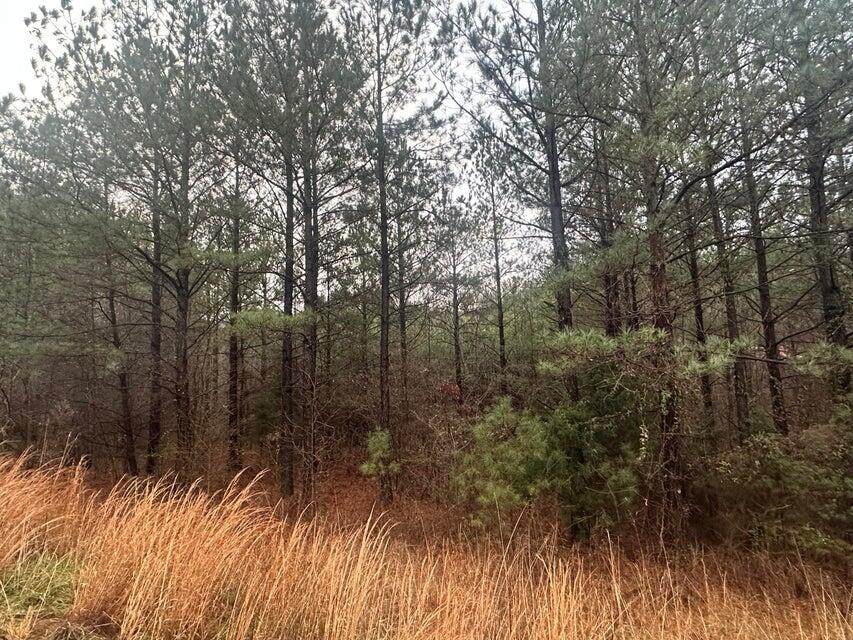 160 Mountain View Circle - Photo 1