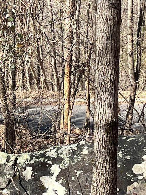 108/109 Battleline Drive - Photo 1