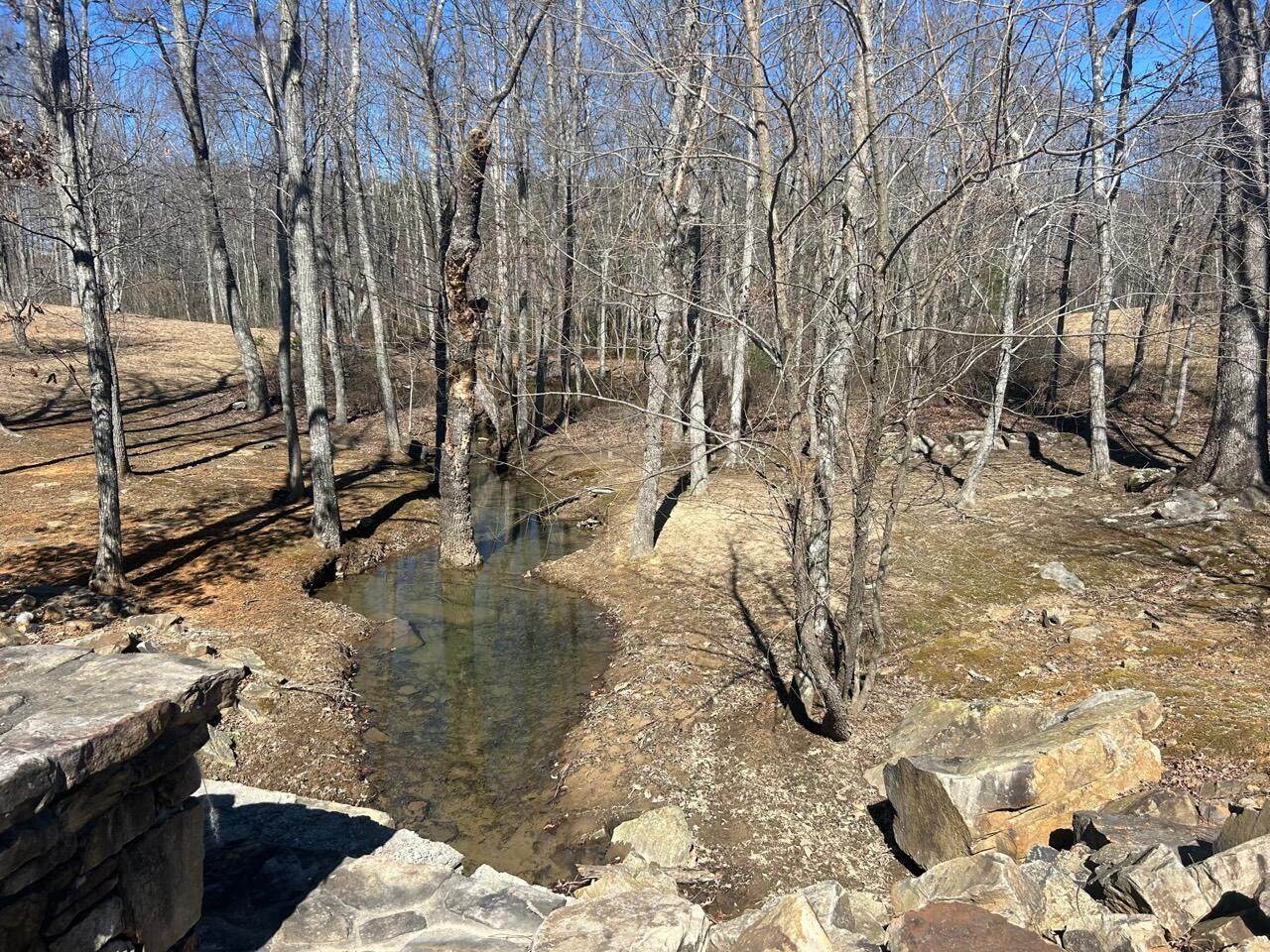 442-129 Raulston Falls Road - Photo 1