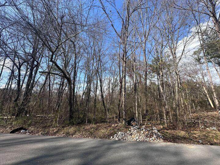 https://bt-photos.global.ssl.fastly.net/chattanooga/orig_boomver_1_1509050-2.jpg