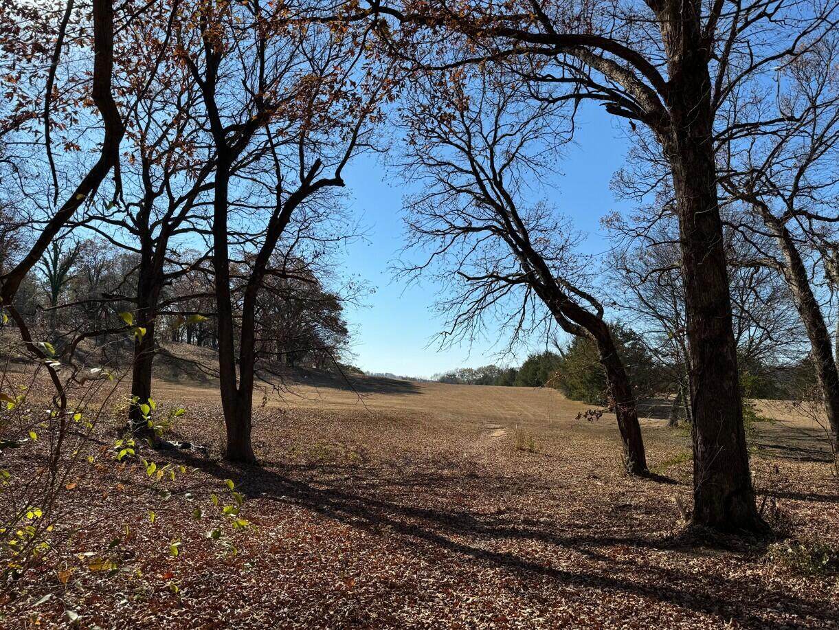 1146 Luptonville Crossing - Photo 1
