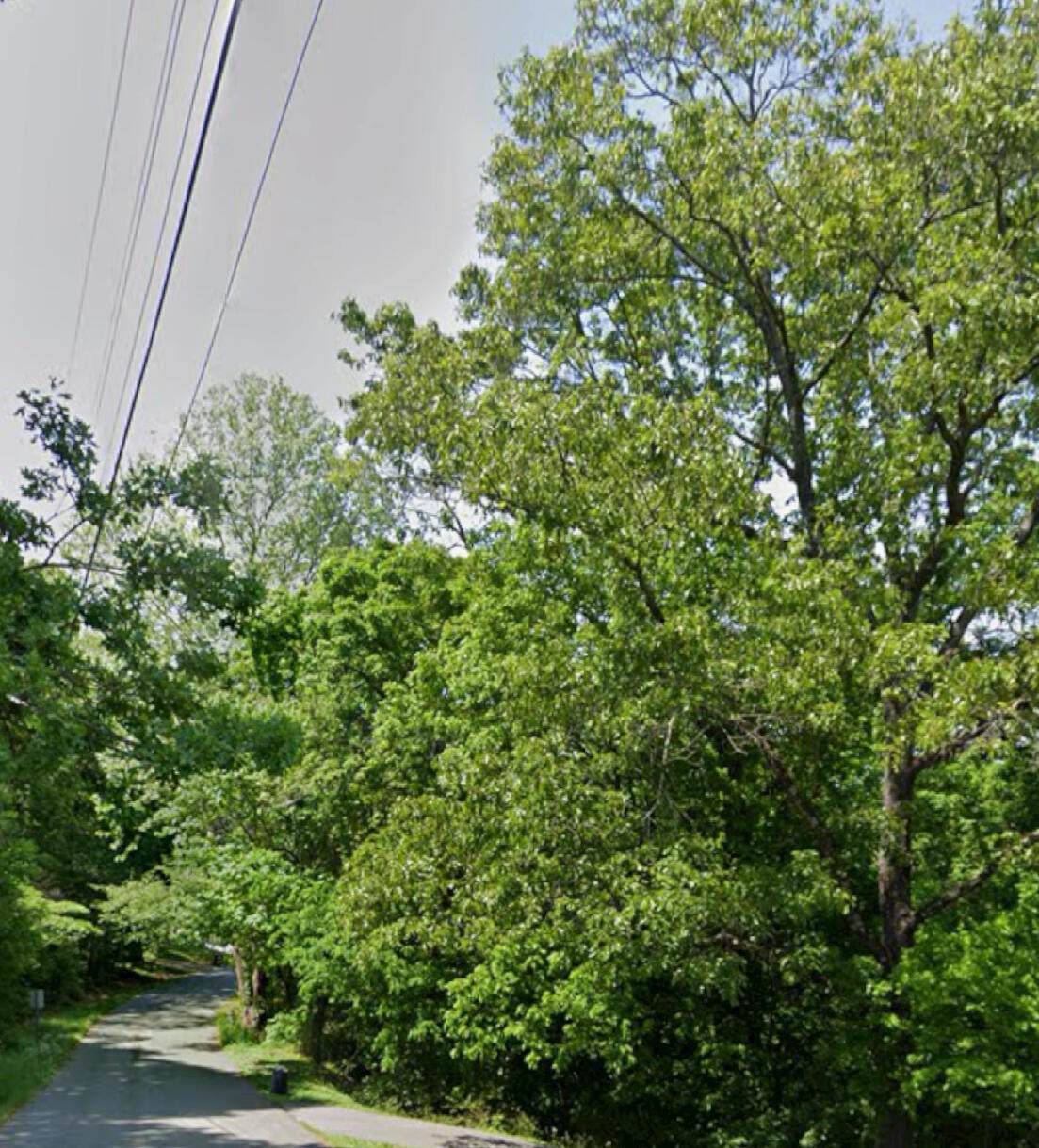 0-Lot 27 Tinkerbell Circle - Photo 1